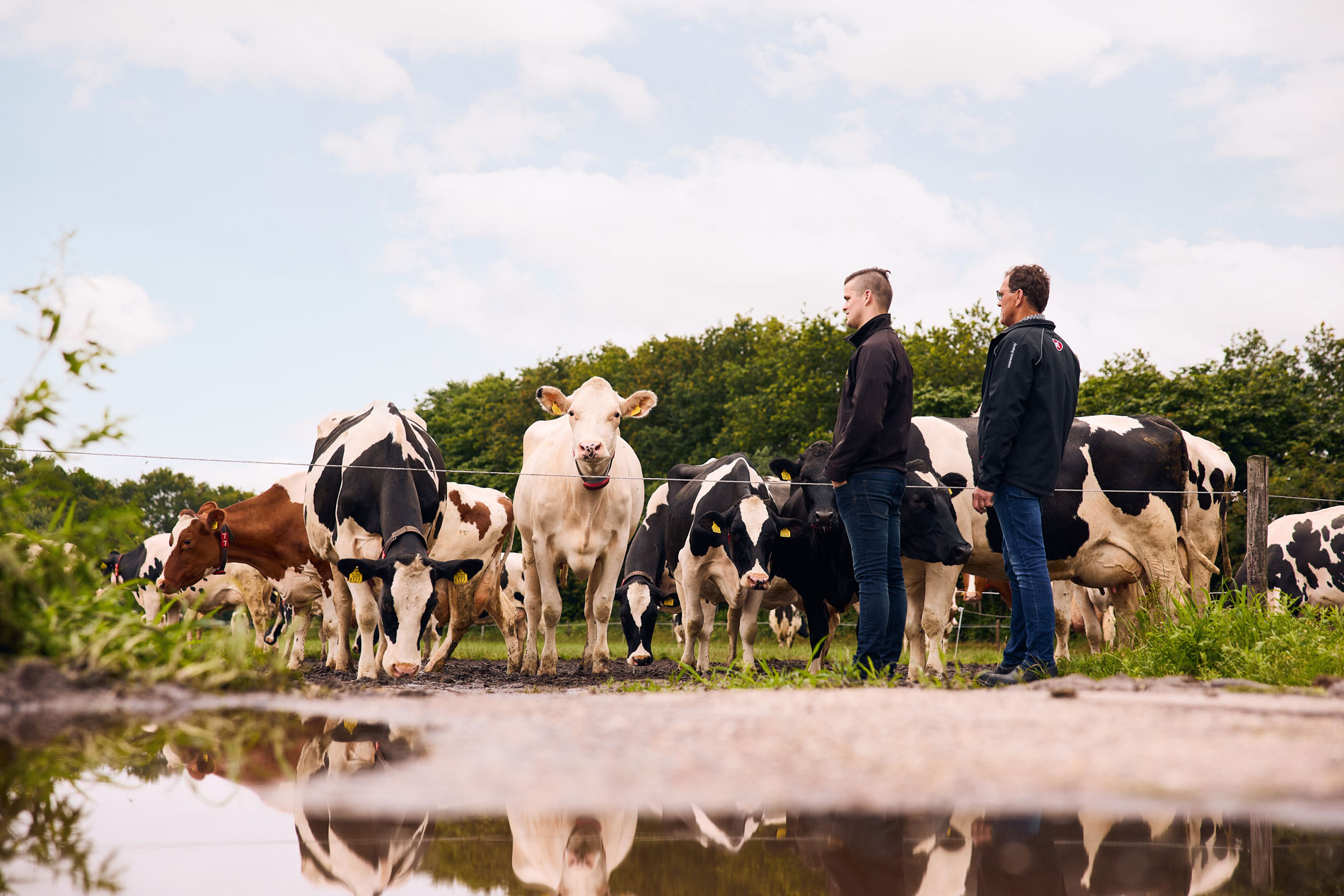 Melkveehouderij De Vooght